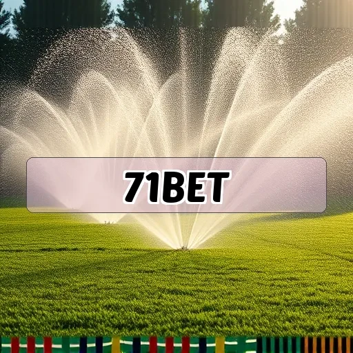 71bet.com: A Diversão das Loterias na Palma da Sua Mão